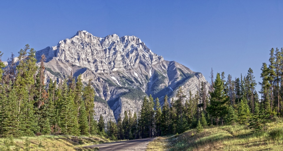 Canada road with trees and mountain around