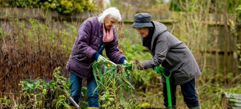 two older women are tidying up the garden