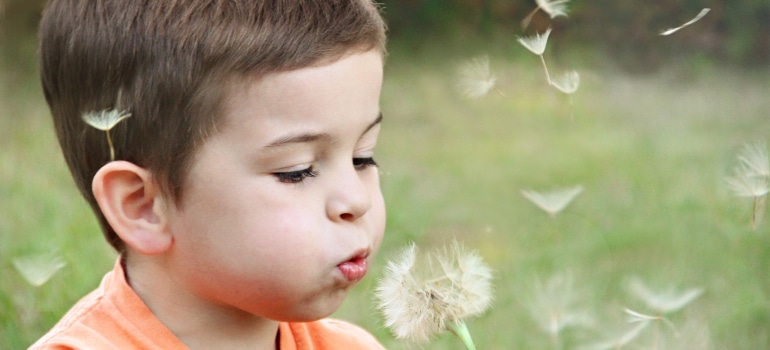 Boy blowing the flower