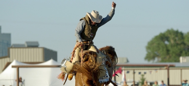 one of the top sights in Calgary - The Calgary Rodeo
