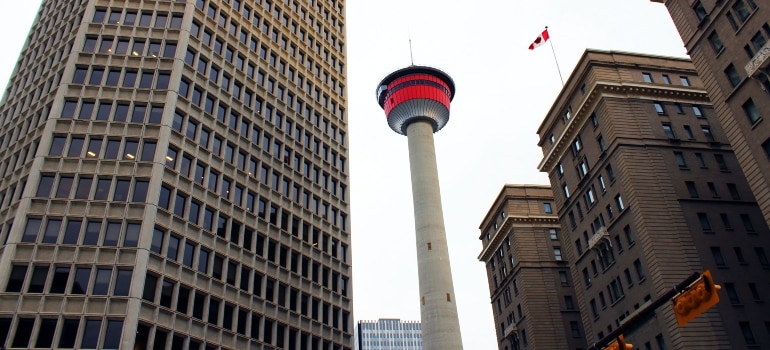 The Calgary tower