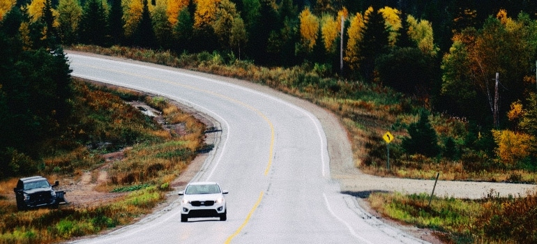 Car on a road in Newfoundland