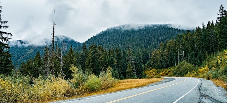 Road in British Columbia where long distance moving companies Victoria BC drive their trucks