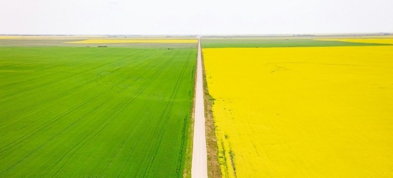 Road in Saskatchewan
