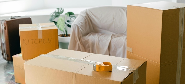 Packed cardboard boxes in a bright living room prepared by movers Prince Edward Island’ home for the first time.